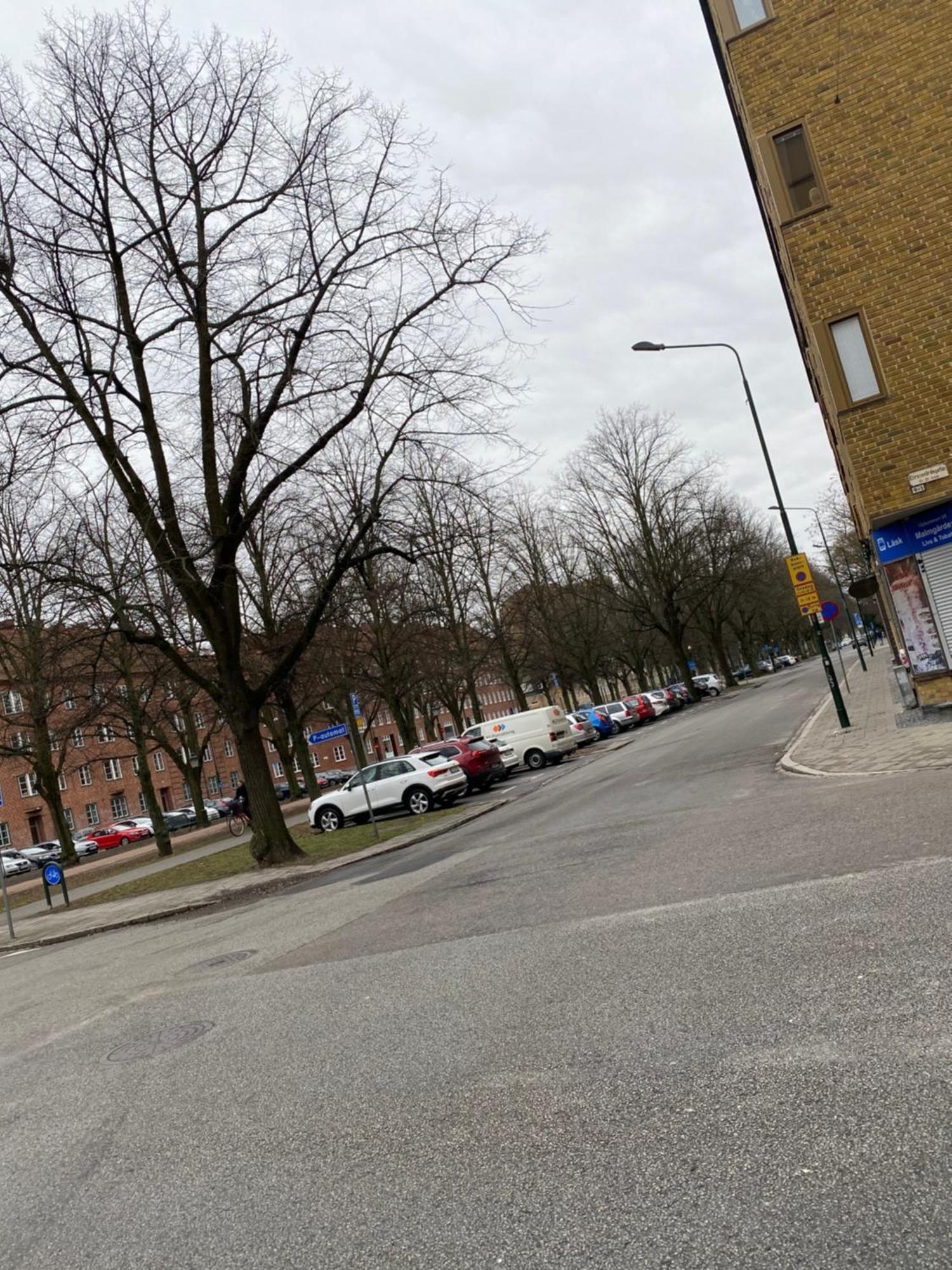 Comfort Appartment In Vaernhem, Malmoe ภายนอก รูปภาพ